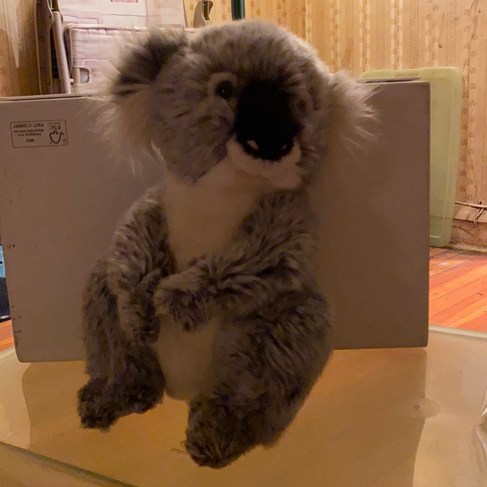 Webkinz Signatures Koala